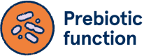 Guinea pic prebiotic function
