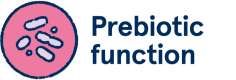Hamster and gerbil prebiotic function