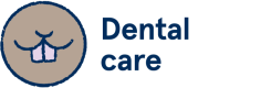Rat and Mouse dental care
